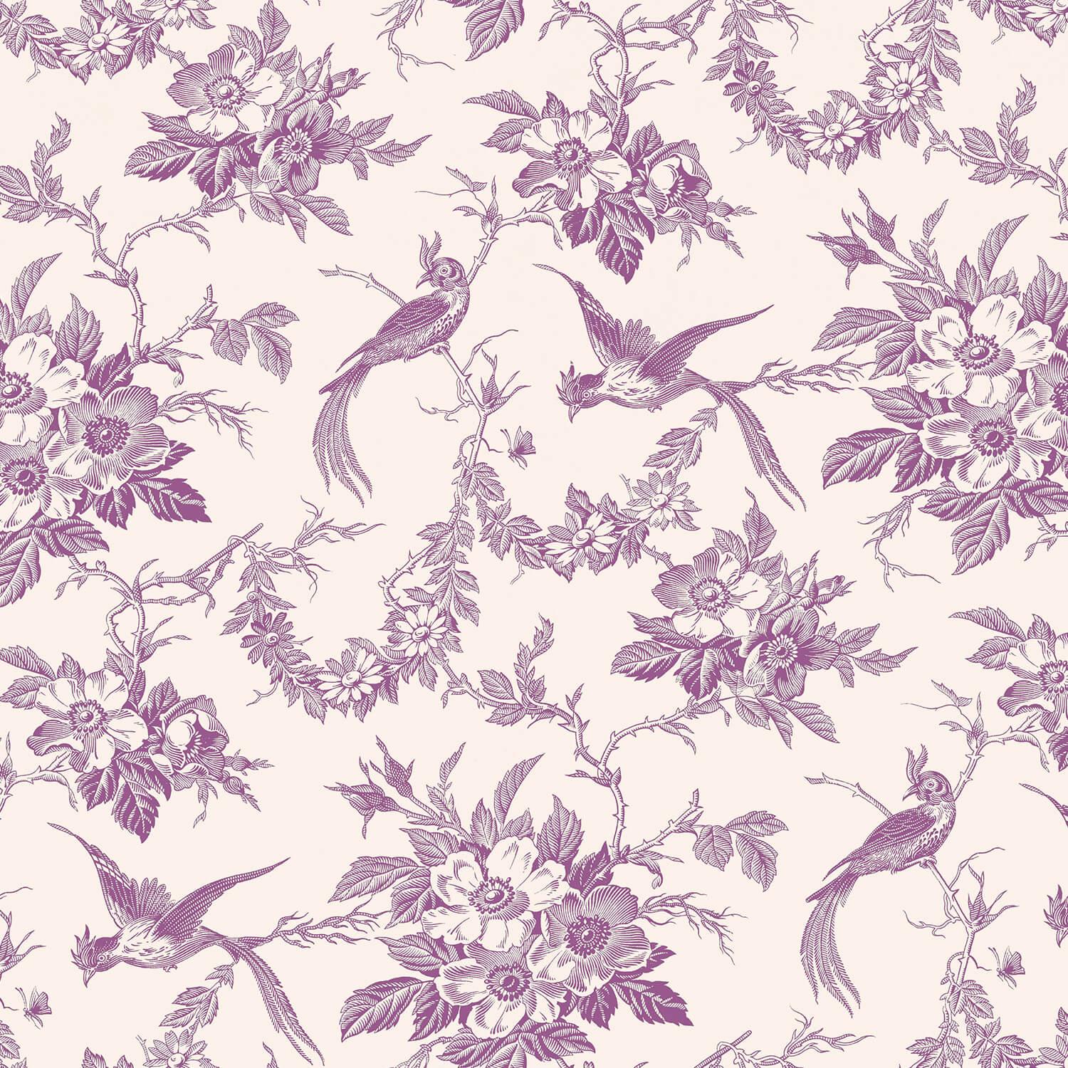 Poster Purple Feather - Innocence