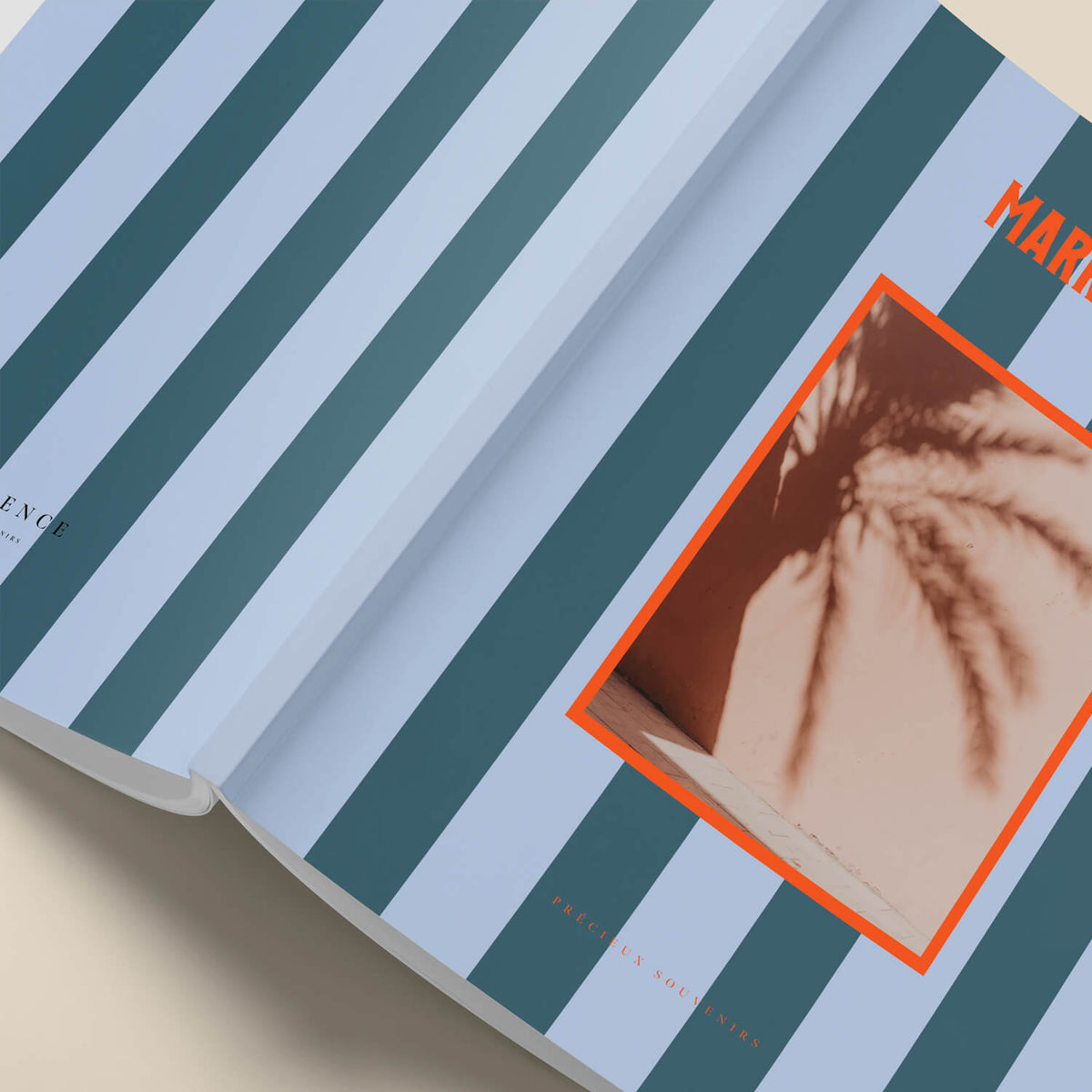 Álbum Bamboo de tapa blanda