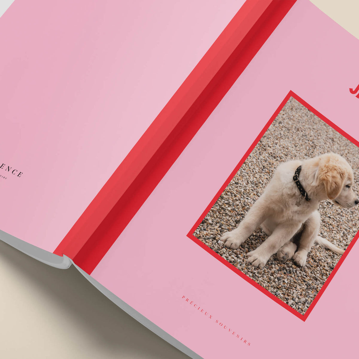 Bubble Softcover Album