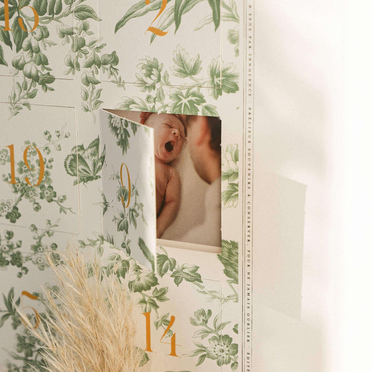 Advent Photo Calendar - Innocence