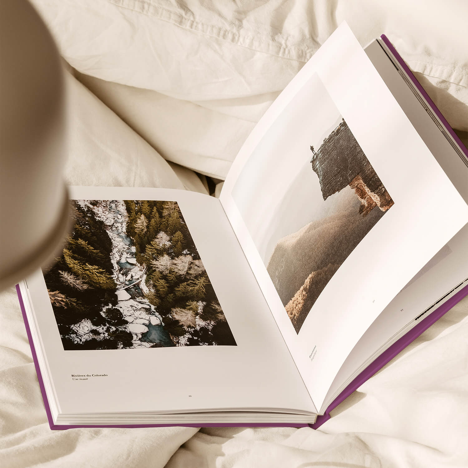 Album Rigide Balade